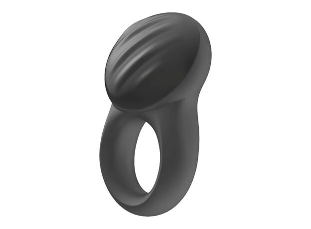 Эрекционное кольцо Signet Ring 1