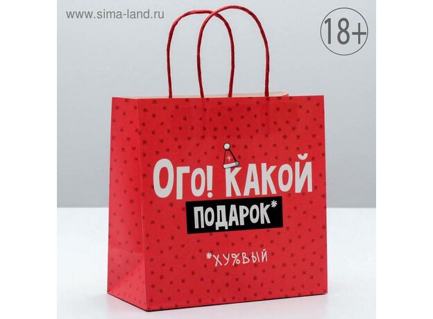 Пакет подарочный «Ого! Какой подарок», 22 × 22 × 11 см 1